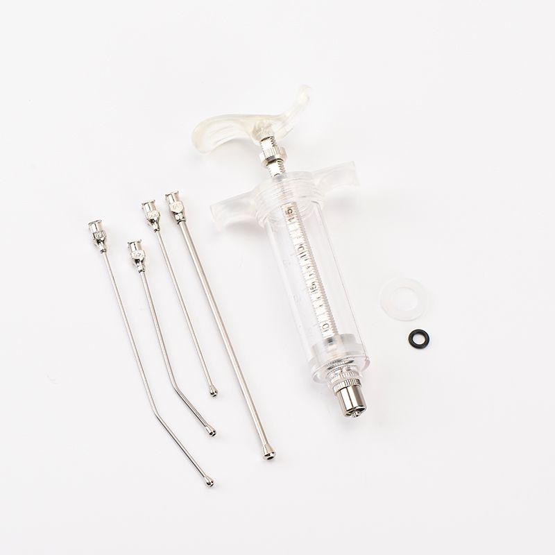 Curved and Straight Stainless Steel Bird Feeding Needle Kit - Product